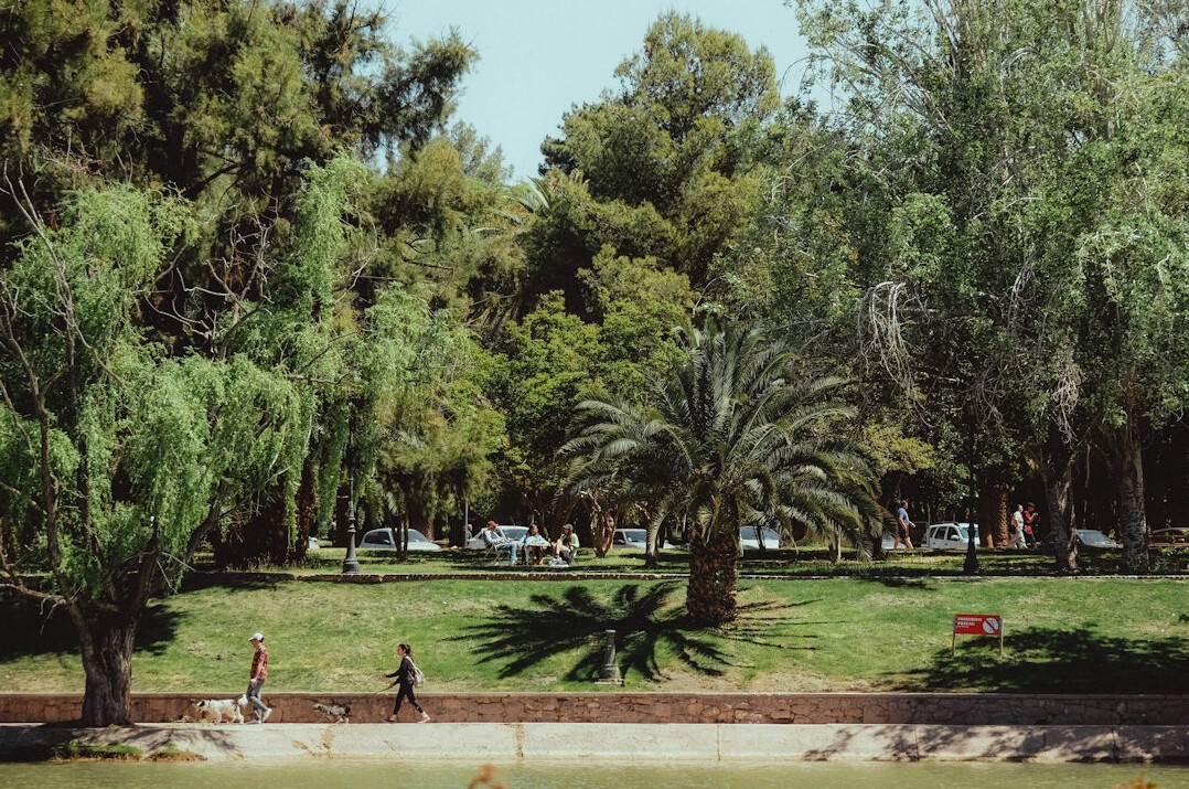 person walking in park